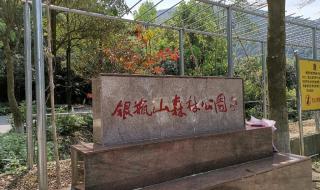 银瓶山森林公园好玩吗