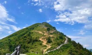 为什么抖音没有浏览量